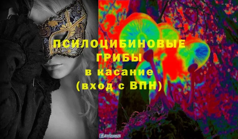 Псилоцибиновые грибы Magic Shrooms  кракен как войти  Балахна  дарнет шоп 